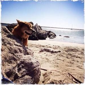 Meet your Posher, Vit